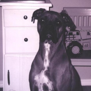 max