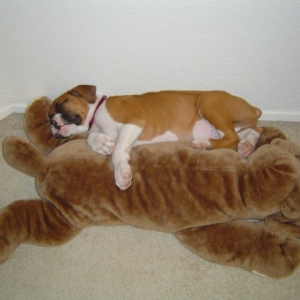 Snoozin'