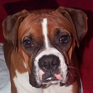 Charlie