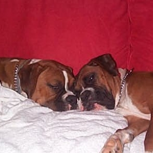 Joe and Charlie