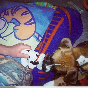 Give me the toy already Daddy!!