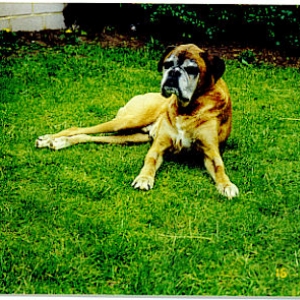 My old man Zeus