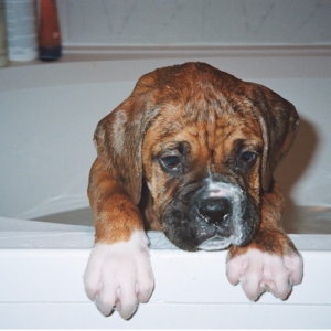 This looked a lot more fun when it was Barkley's turn...