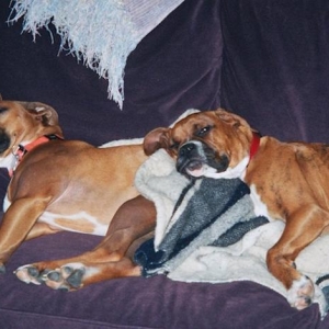 I wonder why Mom & Dad always sit on the floor...it's really much more