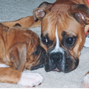 Barkley getting used to baby Jordan