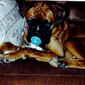 Zeus and his dummy