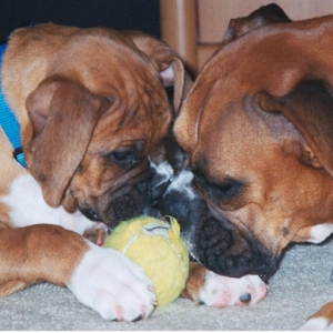 Teamwork