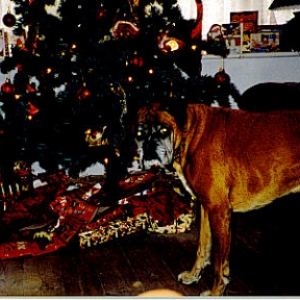 is it time to open my pressies yet