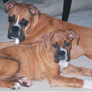 A rare moment of peace...aren't they beautiful?