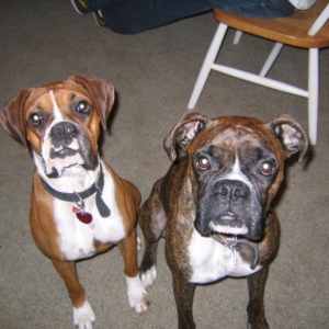 my babies.