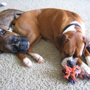 nap time.