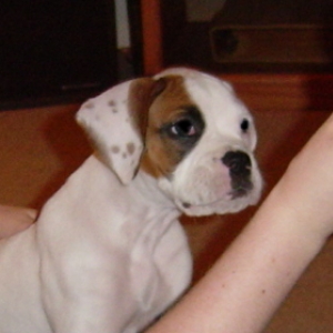Sweet little face