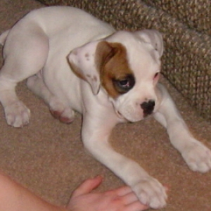 Soo Sweet