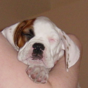 Sleepy baby