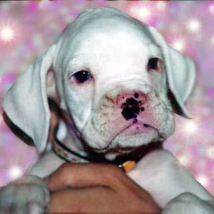 Avra at 7 weeks