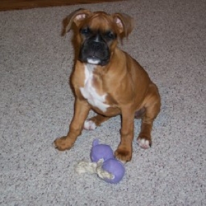 baby Bella