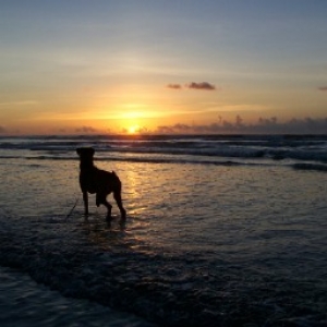 sunrise Folly Beach, SC