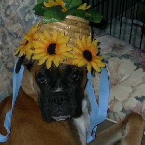 I hate this hat!!