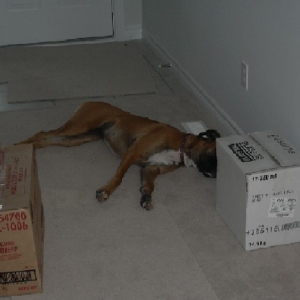 Moving is Hard Work