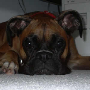 Sad Face