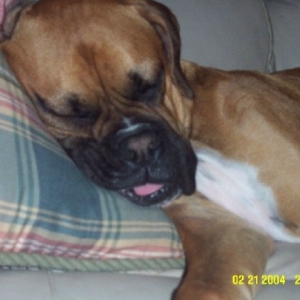 Out cold
