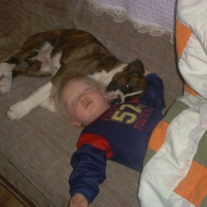 myboxer