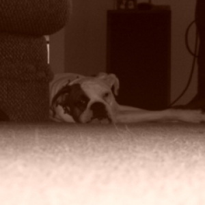 What's with the flash?!