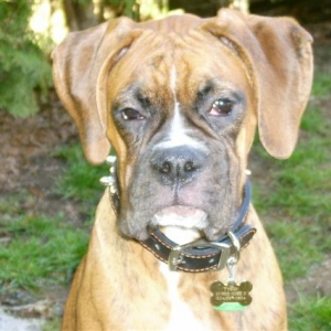 Give me my ball back, or there will be consequences
