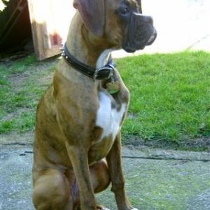 Tyson at 22 Weeks