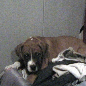 SPIKE