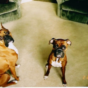 Kali and Gia sitting pretty