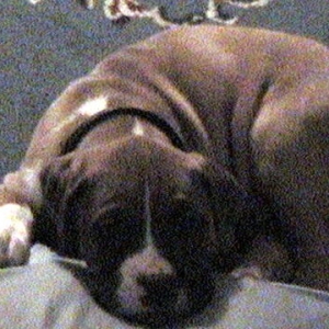 OUR LITTLE SWEETIE