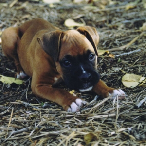 Outdoorsy Mateus