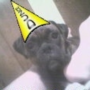 My little dunce!