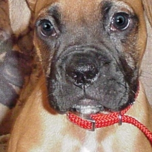 My baby girl