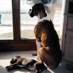 Brothers