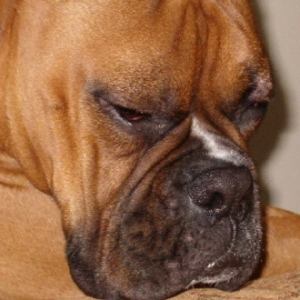Must...not...sleep...