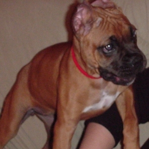 My baby, post ear tape