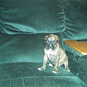 Apollo_1st_day_home_pic2
