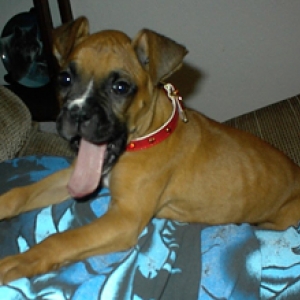 Check out my tongue!