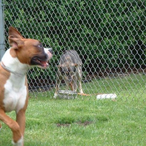 Marriage - NO Way ! !