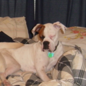 Soo Sleepy!