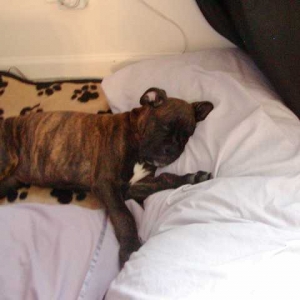 You dont see me waking you up to take your picture.