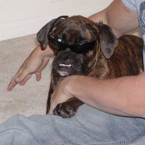 Dont mess with my mommy.