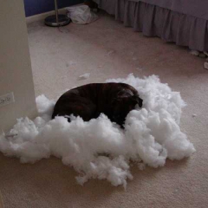 I like my pillows really fluffy.
