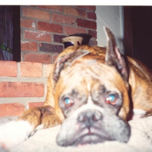 " My mush face"