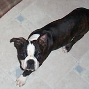 Roscoe