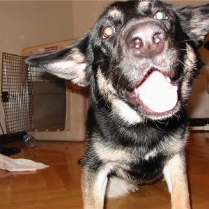 happyxena