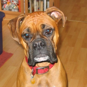 Food!  Did you say Food?..Huh