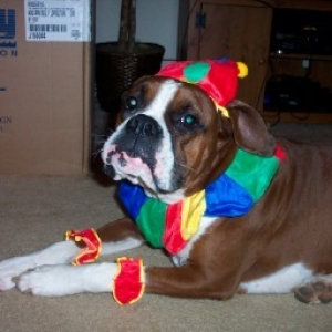 Thank you, Mommy, for the Halloween Costume